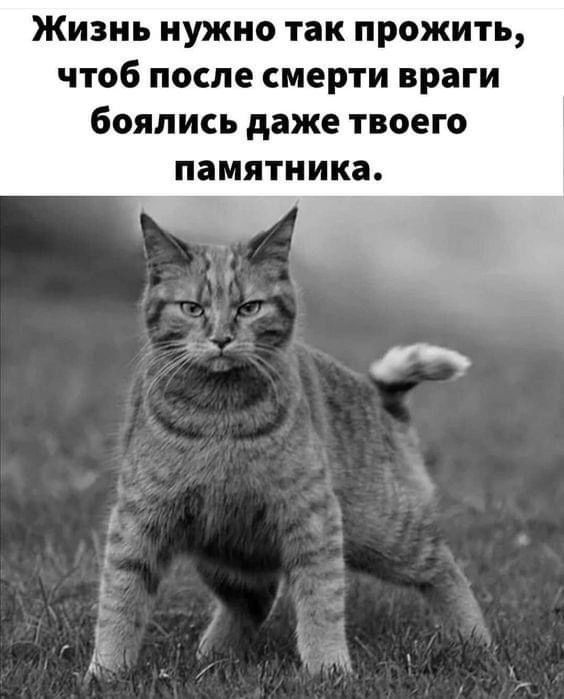 Жизнь нужно так прожить чтоб после смерти враги боялись даже твоего памятника