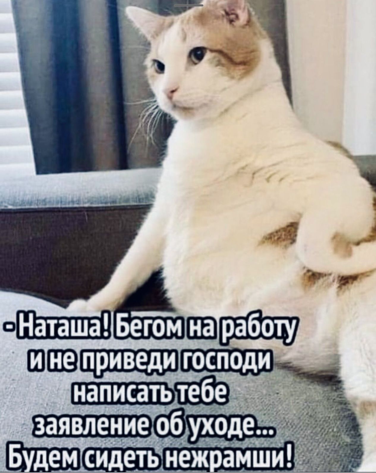 тивп написать итебе