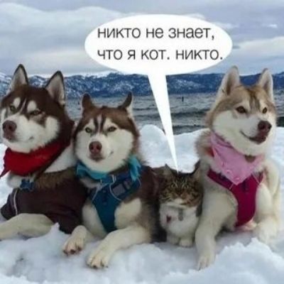 НИКТО не ЗНЁЮГ ЧТО Я КОЕ НИКГО