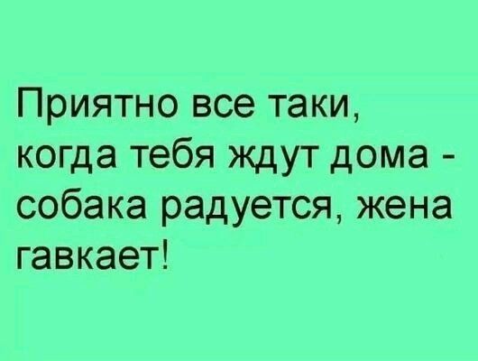 Приятно все таки когда тебя ждут дома собака радуется жена гавкает