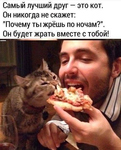 Самый лучший друг это кот Он никогда не скажет Почему ты жрёшь по ночам Он будет жрать вместе с тобой