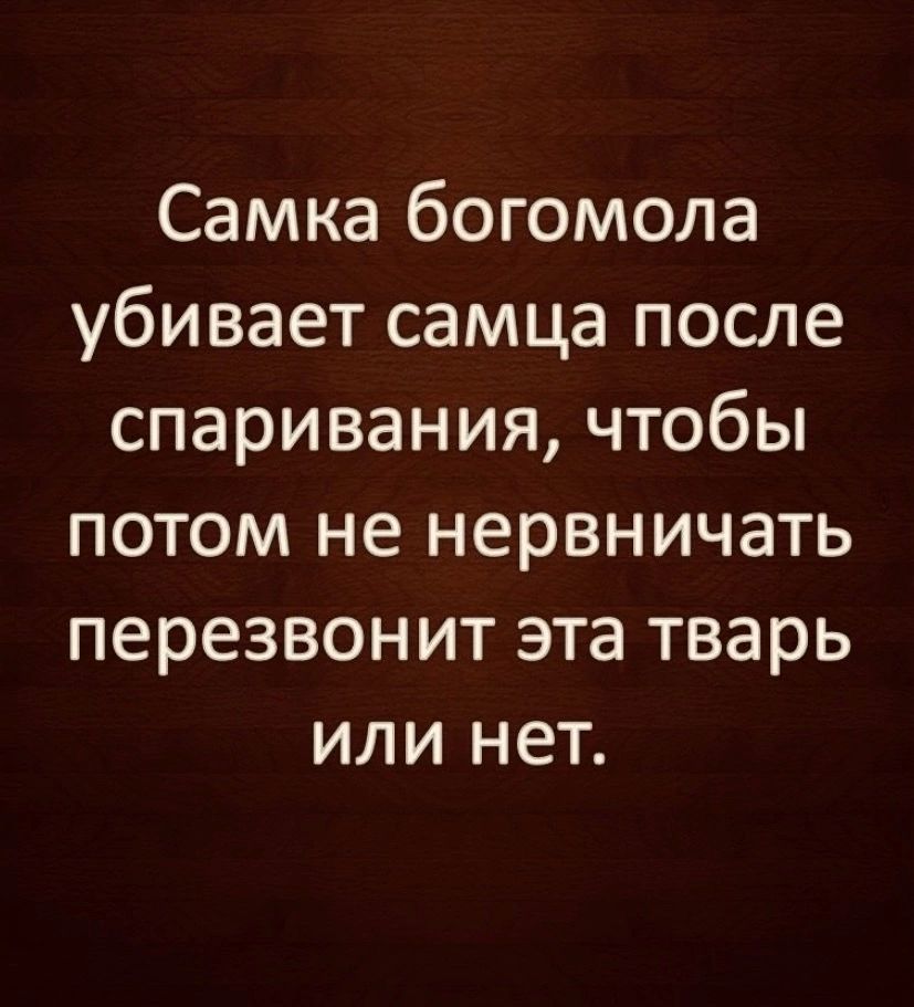 Самка богомола убивает самца после спаривания чтобы потом не нервничать перезвонит эта тварь или нет