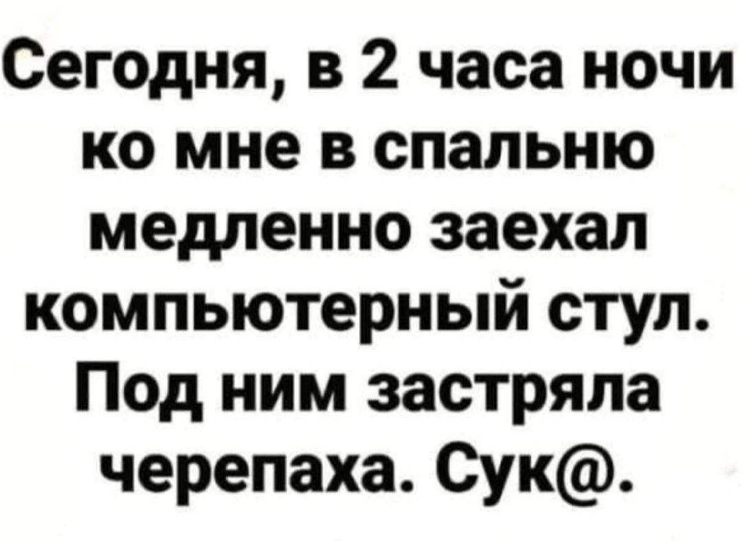 Сегодня в 2 часа ночи но мне в спальню медленно заехал компьютерный стул Под ним застряла черепаха Сук