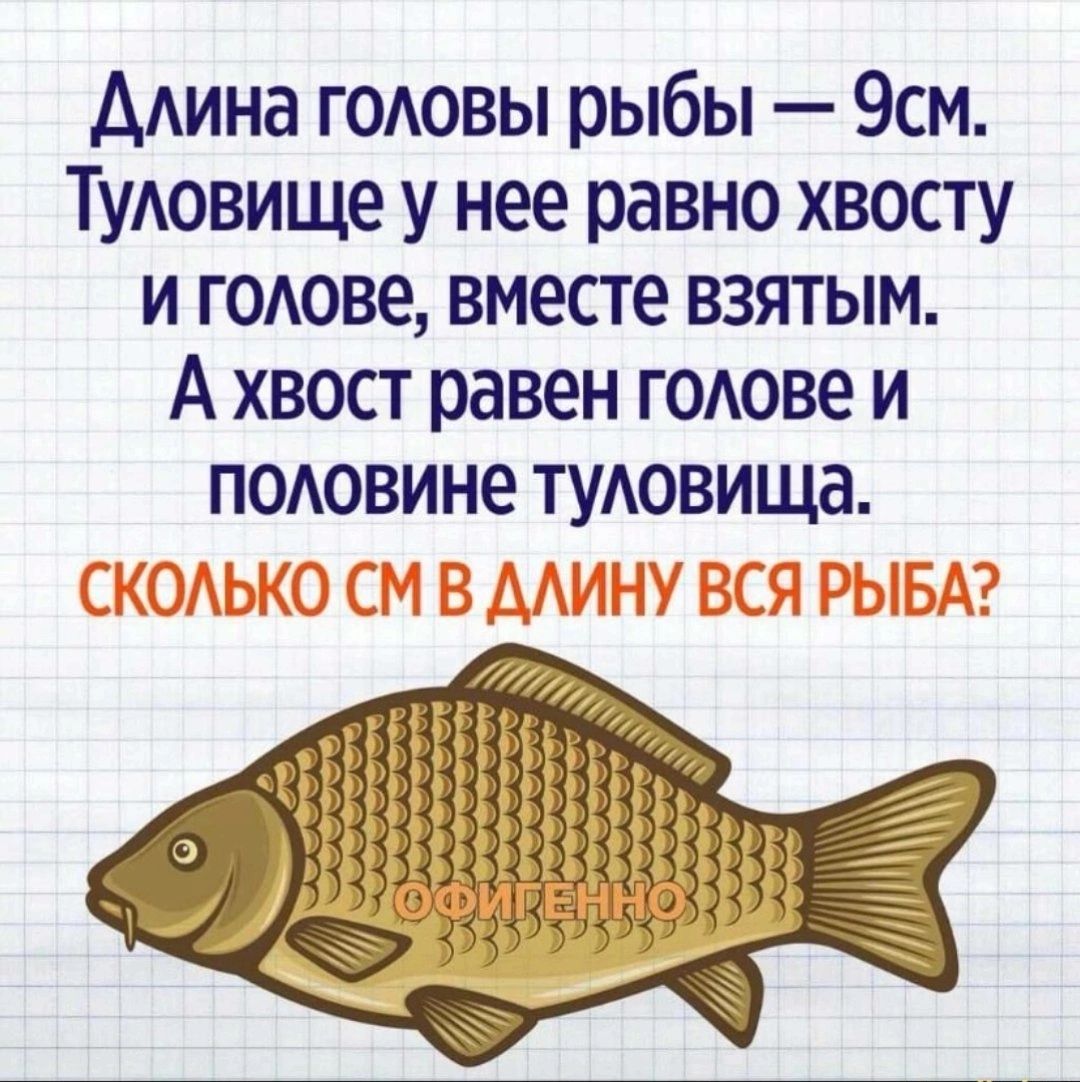 Адина годовы рыбы 9см Тудовище у нее равно хвосту и годове вместе взятым А хвост равен годове и подовине тудовища