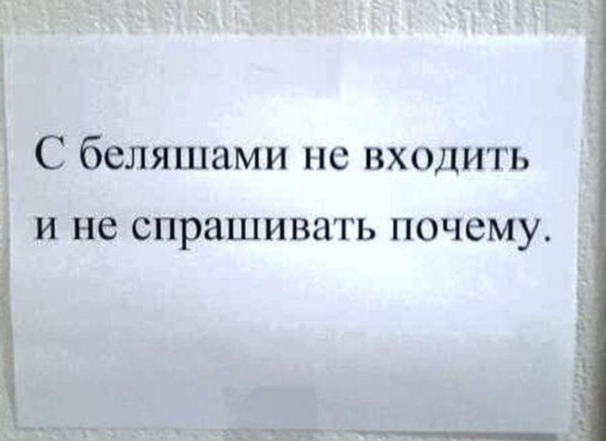 Почему просит. С беляшами не входить. Смешной беляш рисунок. Смешные картинки про беляши. Надписи прикольные про беляш.