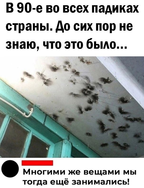 В 90 е во всех падиках страны до сих пор не знаю что это бьмо МНОГИМИ же вещами МЫ тогда ещё ЗЗНИМЗПИСЬ