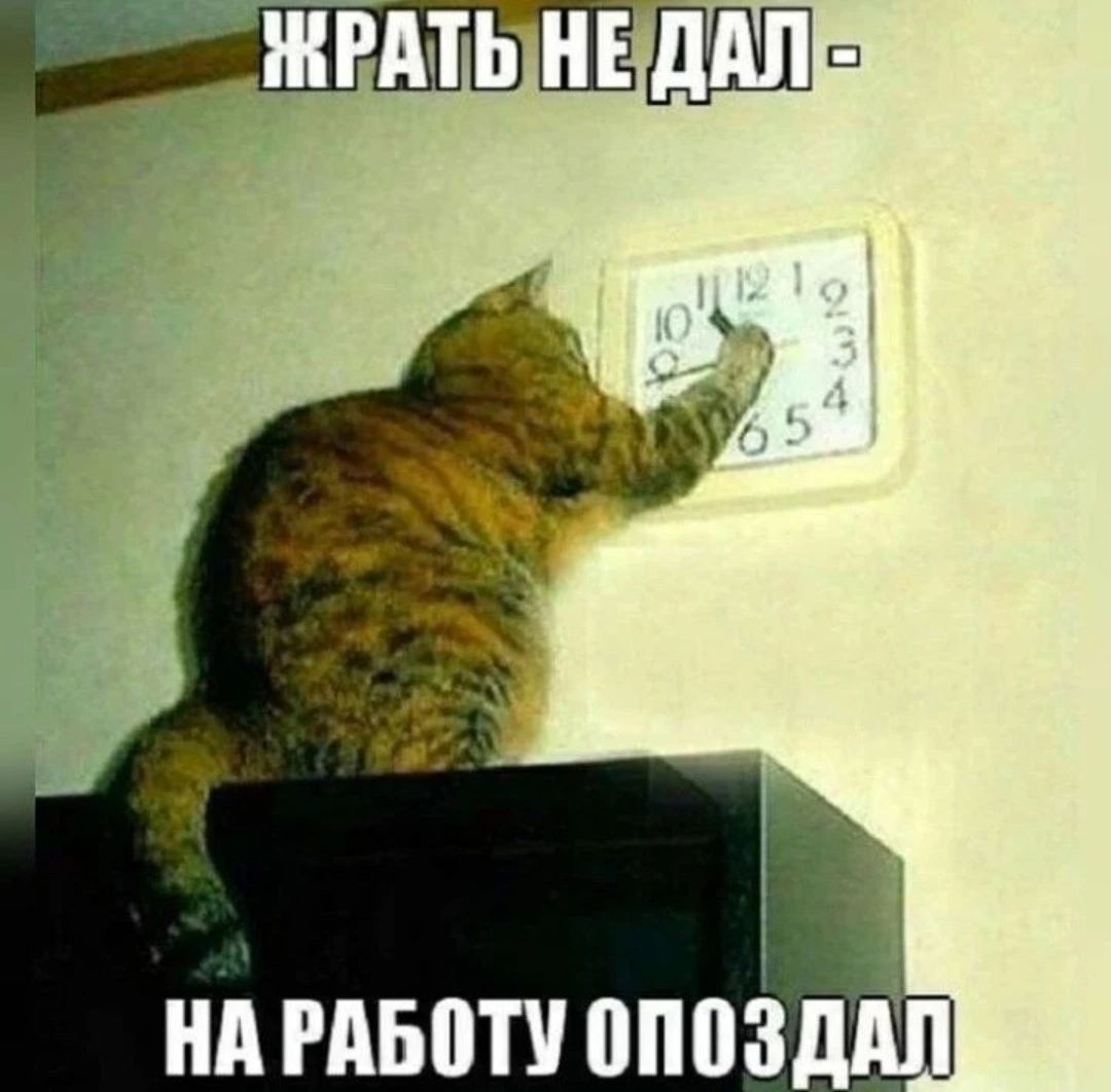 ДШПп нп гпвпту опоЗддп