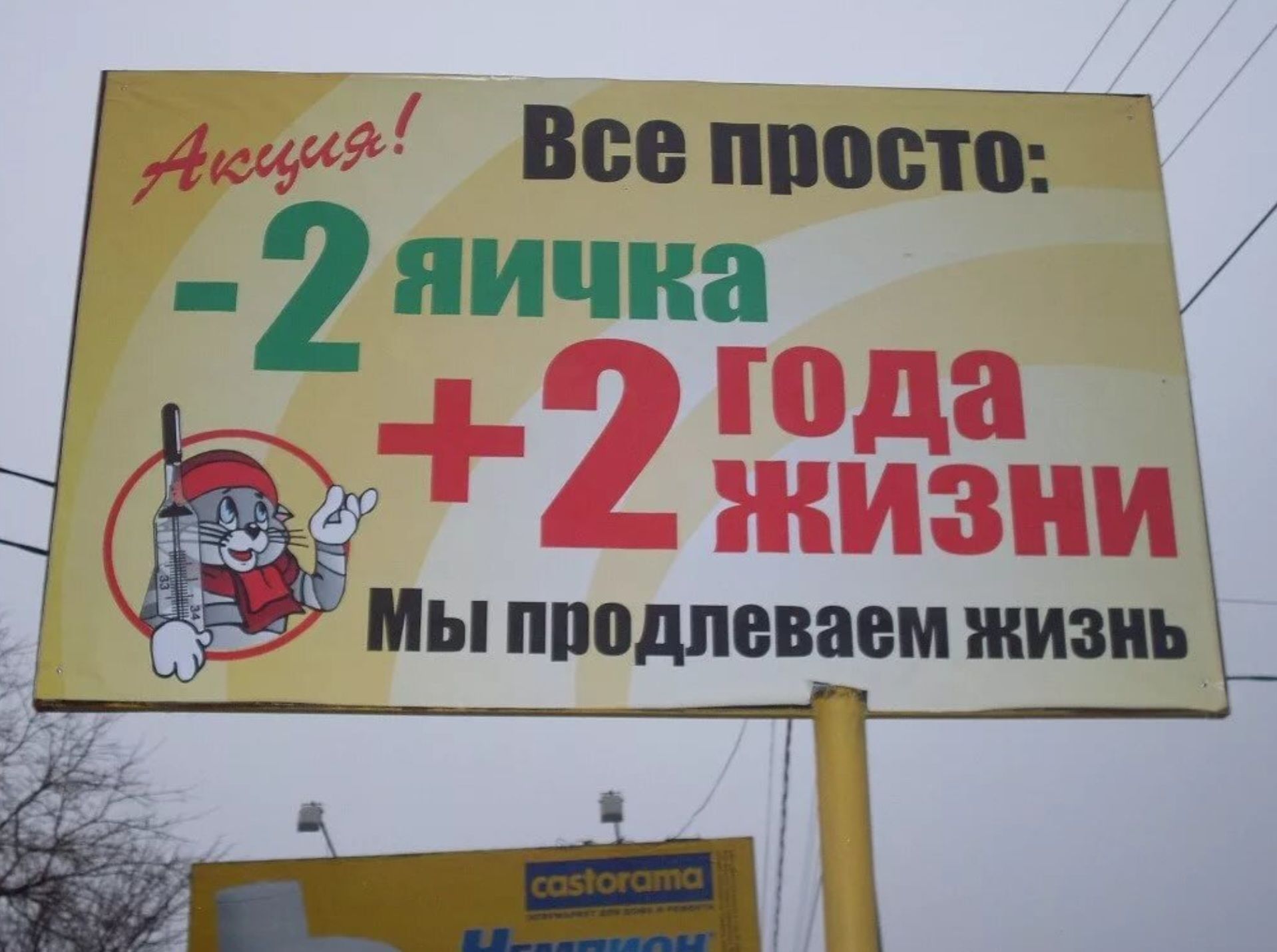 1е Все просто Э 2 яичка