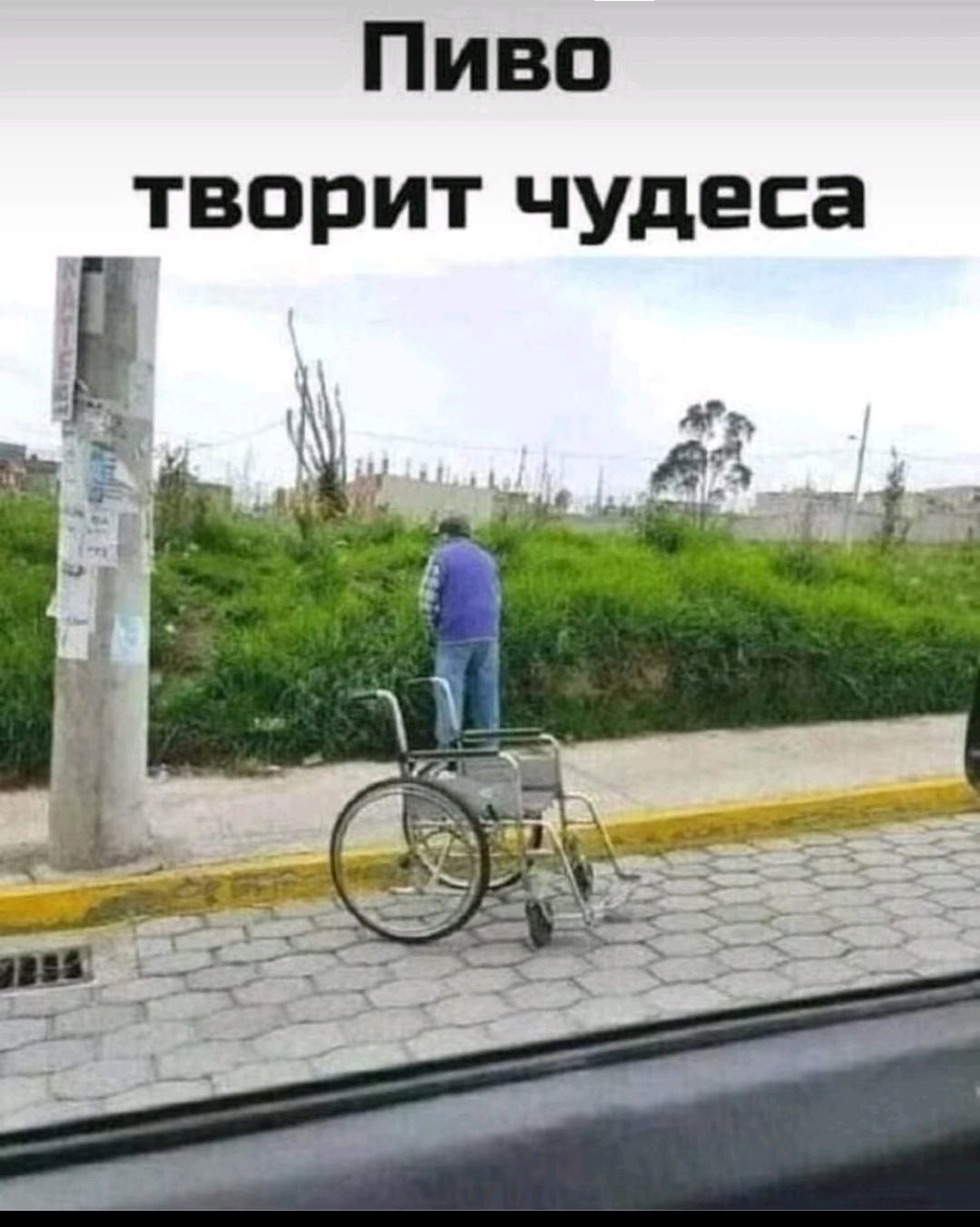 Пиво творит чудеса