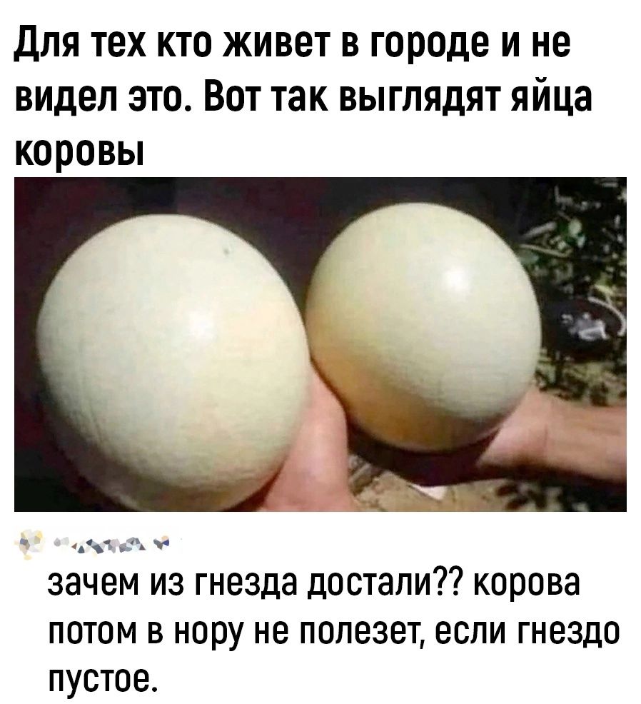 для тех кто живет в городе и не видел это Вот так выглядят яйца коровы ЗЗЧЭМ ИЗ гнезда ЦОСТЭПИТ КОРОВЗ потом в нору не полезет если гнездо пустое
