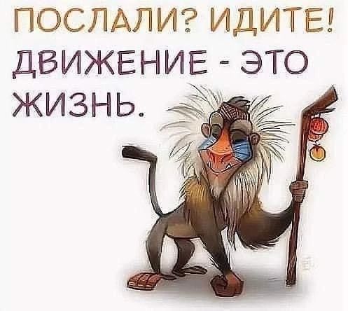ПОСЛАЛИ ИДИТЕ движвниЁ это жизнь
