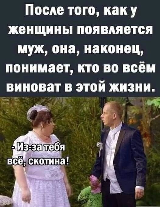 После того как у женщины появляется муж она наконец понимает кто во всём виноват в этой жизни ім 7 всё скотина