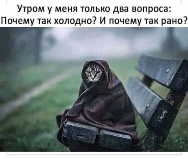 Утром у меня только два вопроса Почему так холодно И почему так рано