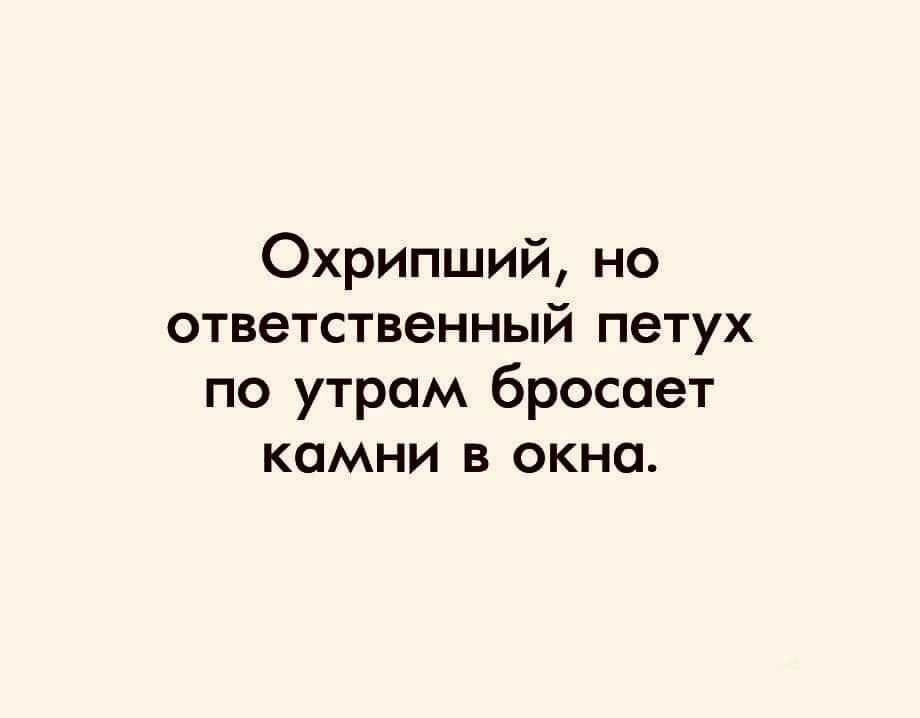 Охрипший но ответственный петух по утрам бросает камни в окна