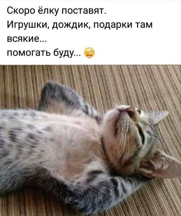 Скоро ёлку поставят Игрушки дождик подарки там всякие помогать буду