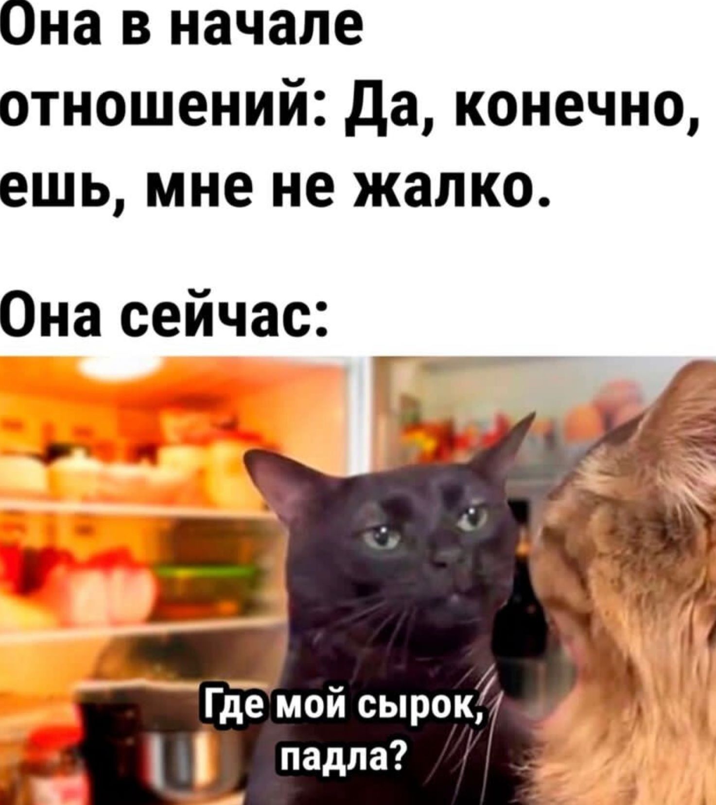 Она в начале отношений да конечно ешь мне не жалко Она сейчас 7 Где мой сырок