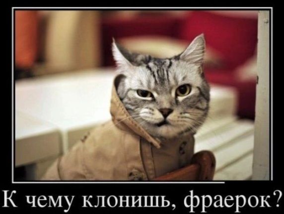 А К чему клонишь фраерок