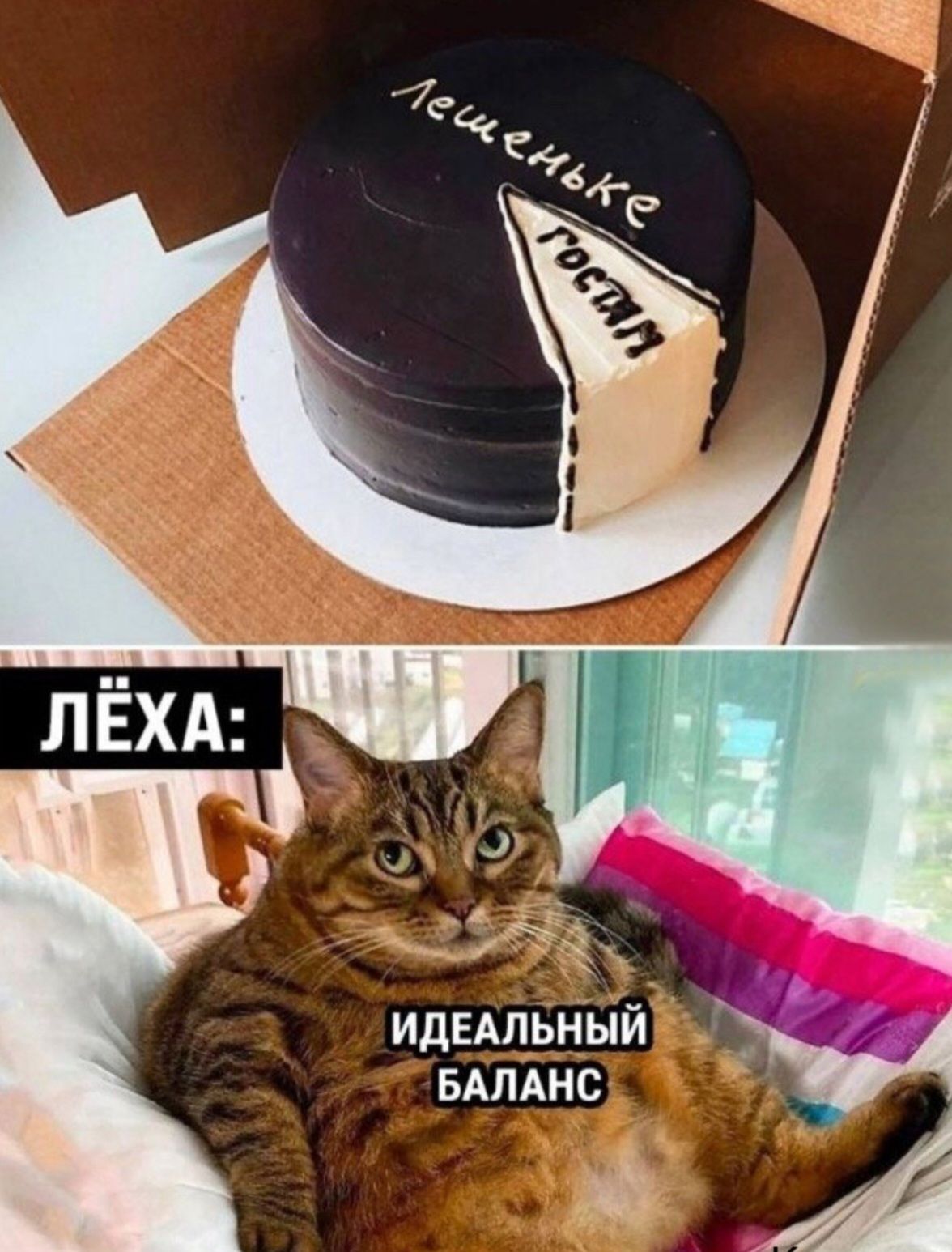 д __д щ идильныи вдпднс
