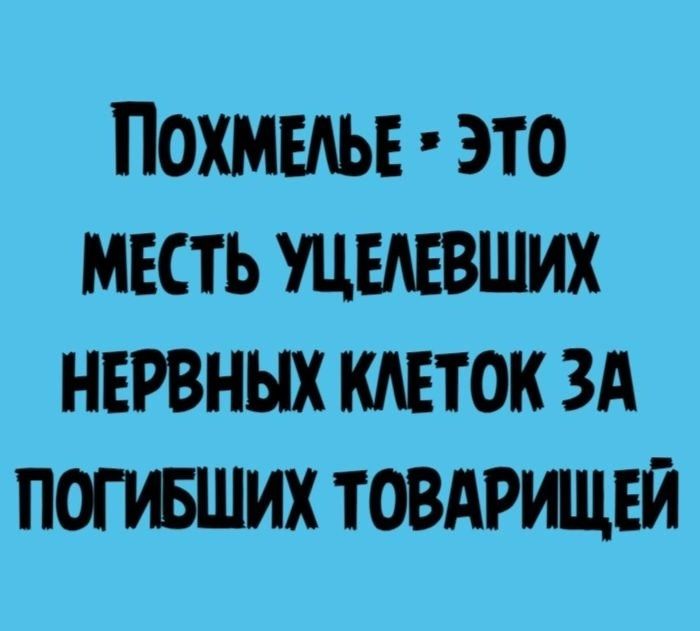ПОХМЕАЬЕ ЭТО МЕСТЬ УЦЕЛЕВШИХ НЕРВНЫХ МЕТОК ЗА ПОПБШИХ ТОВАРИЩЕЙ