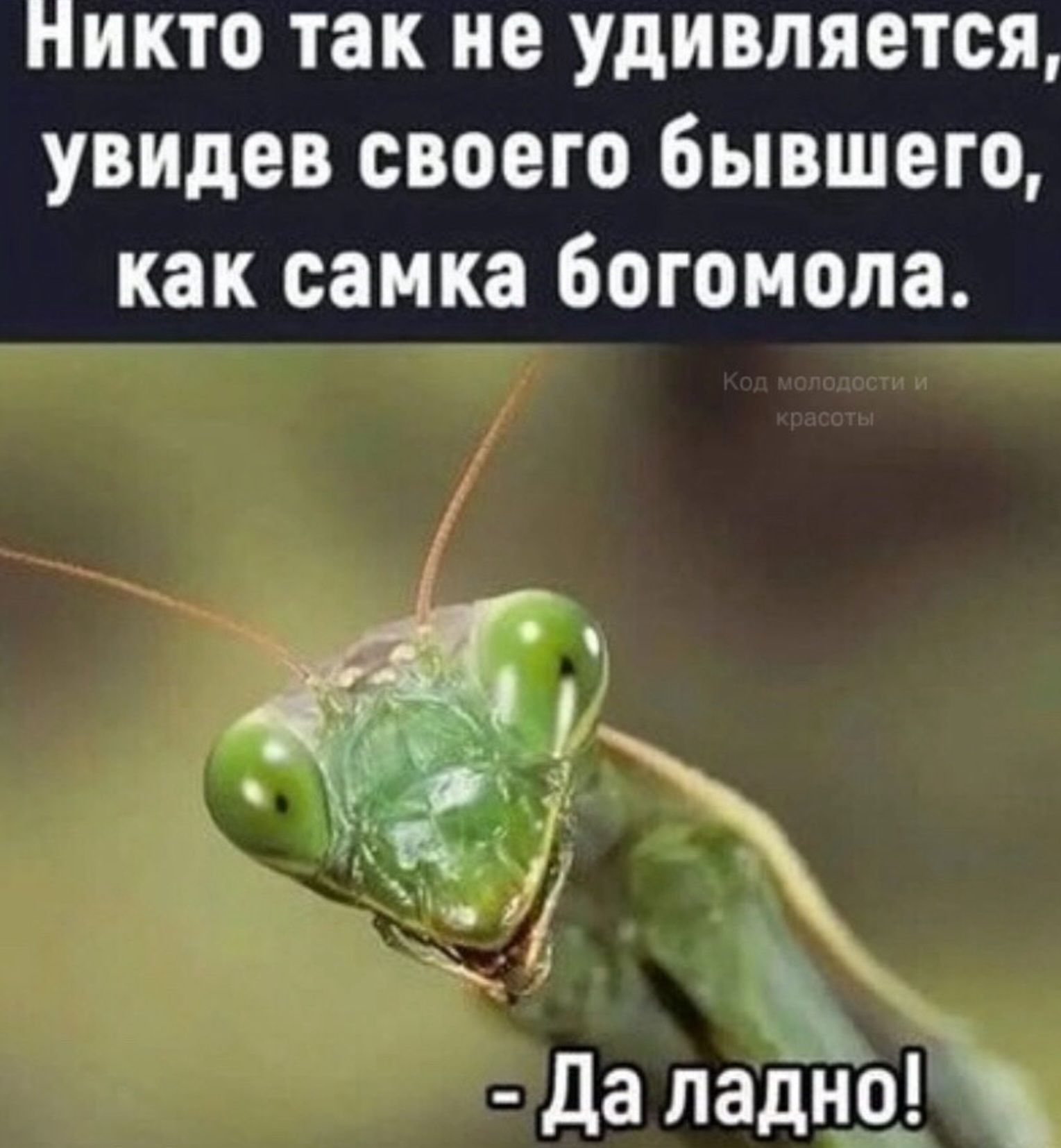 НИКТО так не УдИВЛЯОТОЯ увидев СВОЕГО бывшего как самка ООГОМОПЗ да ладна