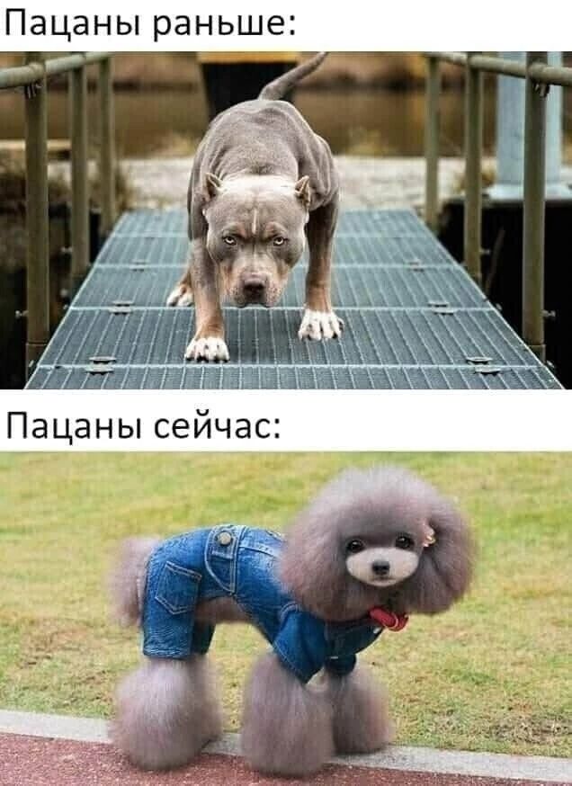 Пацаны раньше __ _