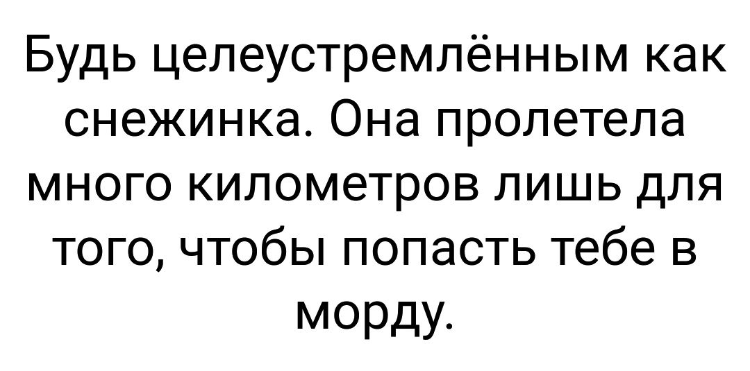 Будь целеустремлённым как снежинка Она пролетела много километров лишь для того чтобы попасть тебе в морду
