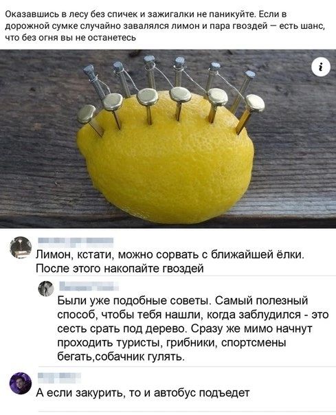Оказавшись в лесу без с и зажигалки не Нажмите в и проживи сумке случайно завилюя лимон и пива познай _ е ым я мм Лимон котам можно сорвать ближайшей елки После этого накопайте гвоздей Были уже подобные советы Самый полезный способ чтобы тебя нашли когда заблудился _ это сесть срань под дерево Сразу же мимо начнут проходить турисщ грибники спортсмены бегатьвбачнии гулять Аебе
