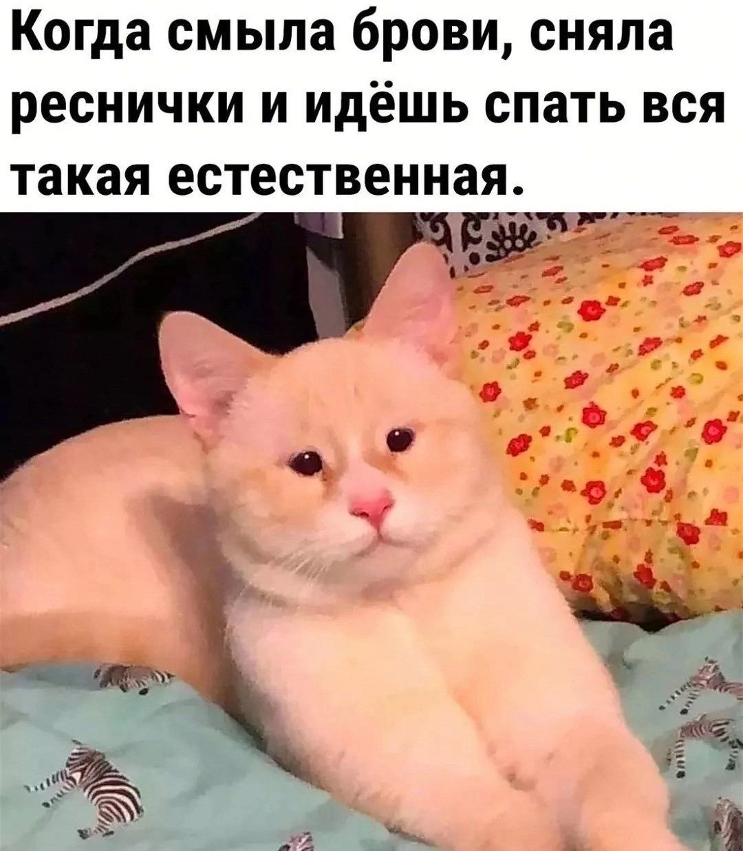 Когда смыла брови сняла реснички И идёшь СПВТЬ ВСЯ такая ЕСТЕСТВЕННЗЯ