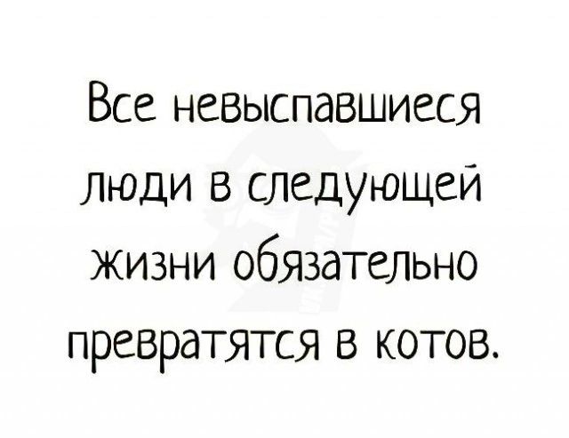 Все невыспавшиеся люди в следующей жизни обяэательно превратятся в котов