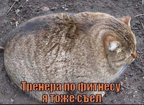 енеап ЁЁЙЁШВЖВВЪ