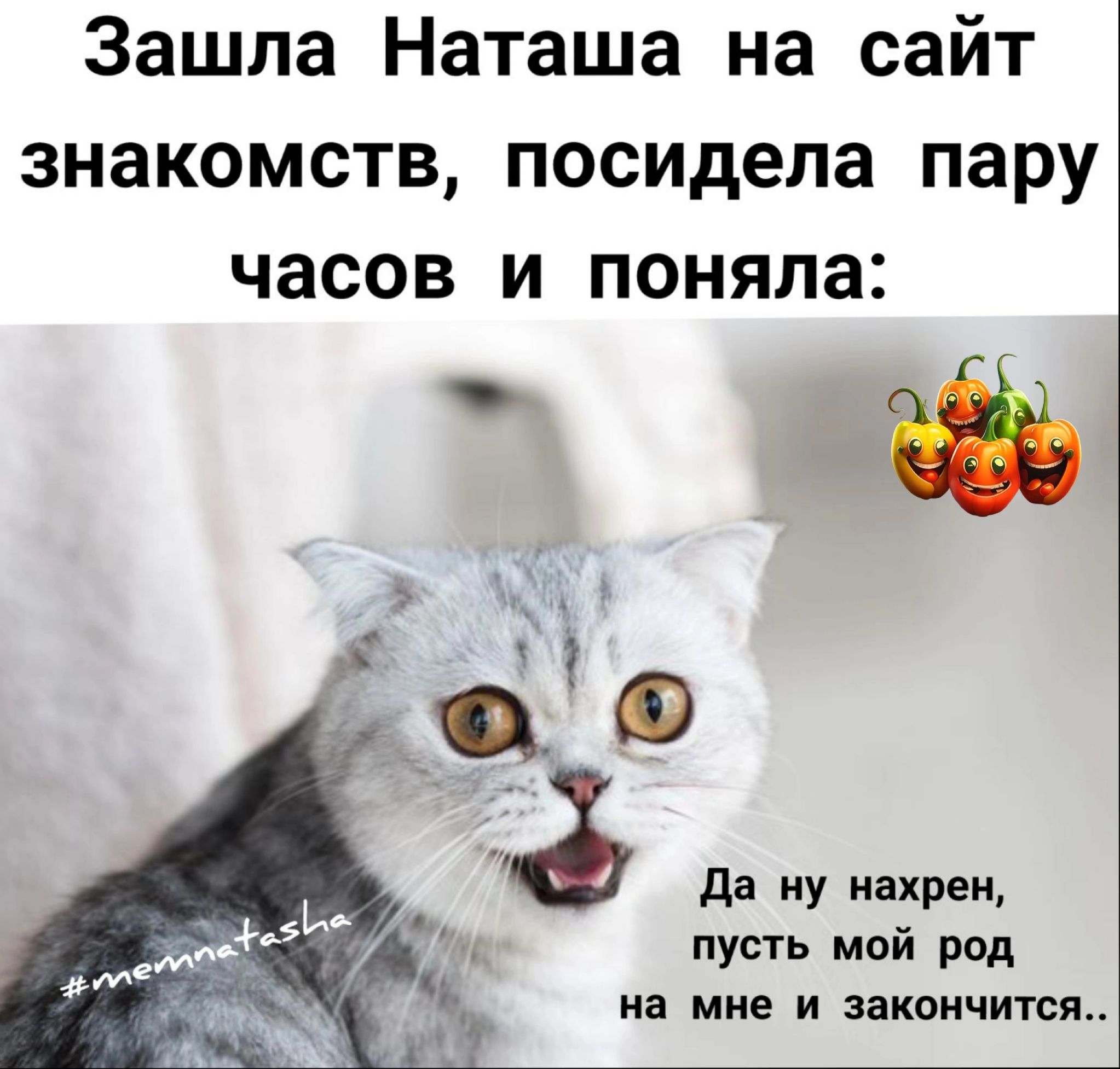 Зашла Наташа на сайт знакомств посидела пару часов и поняла да у нахрен 511 пусть мой род на мне и закончится