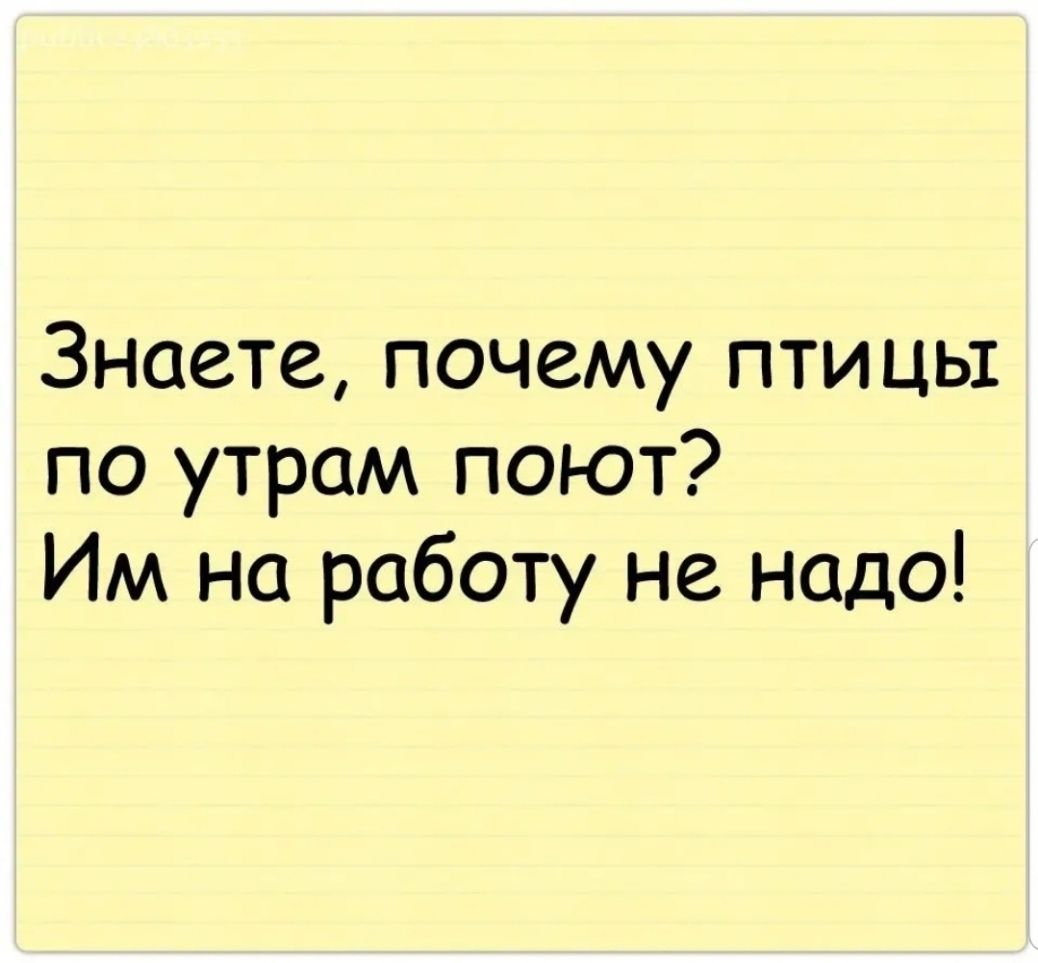 Знаете почему птиць1 по утрам поют Им на работу не надо