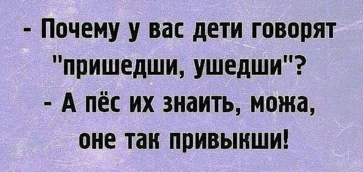 Почему у вас дети говорят пришедши ушедши А пёс их знаить ножа оне так привыкши
