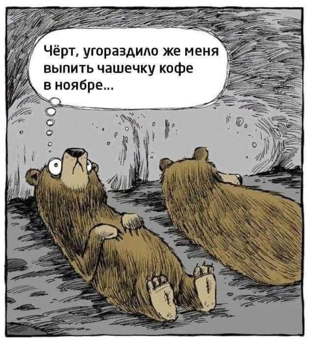 выпить чашечку кофе в ноябре