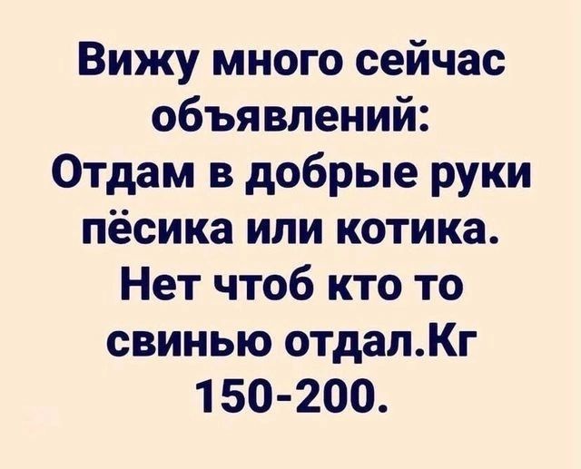 Вижу много сейчас объявлений Отдам в добрые руки пёсика или котика Нет чтоб кто то свинью отдалКг 1 50 200