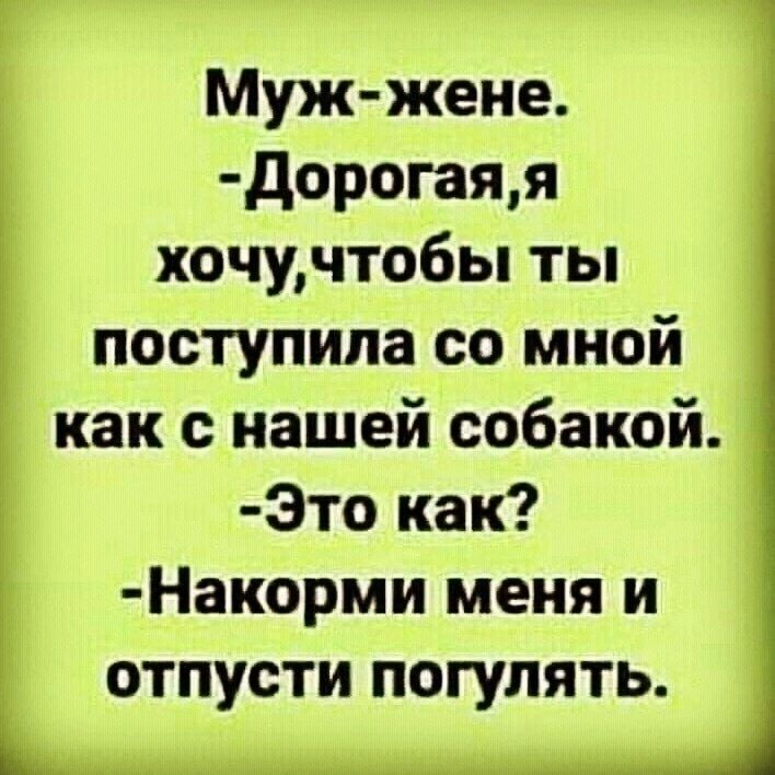 Муж жене дорогаяя хочучтобы ты поступила со мной как с нашей собакой Это как Накорми меня и отпусти погулять