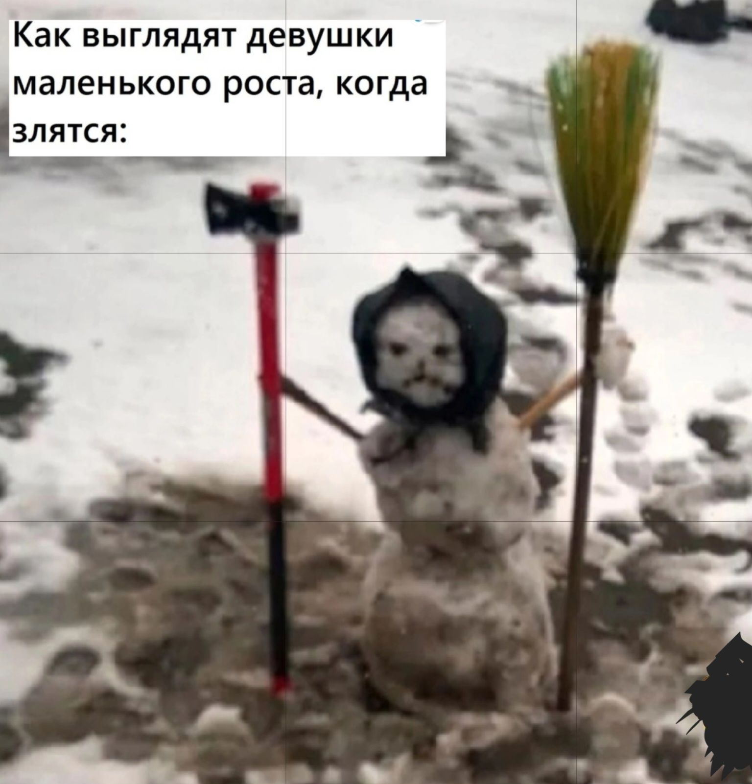 Как выглядят девушки маленького роста когда злятс