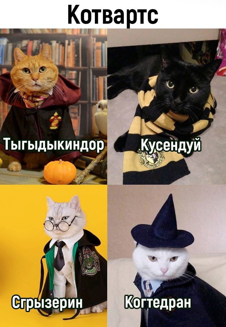 Котва ртс