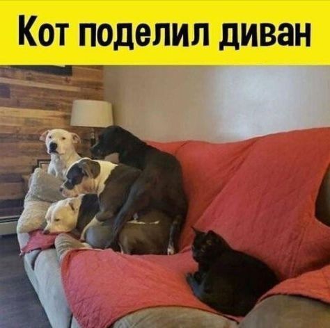 ГКЧПЫШЕ ЛШ НИШ