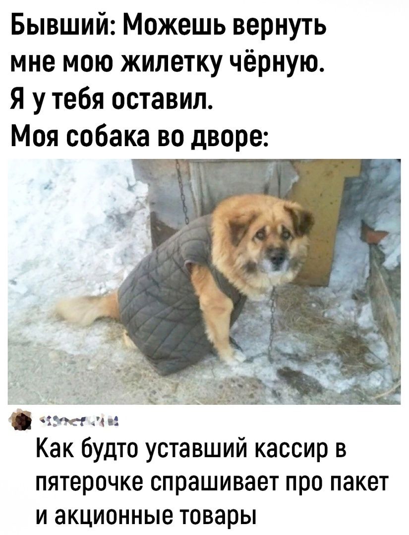 Бывший Можешь вернуть мне мою жилетку чёрную Я у тебя оставил Моя собака во дворе чум нне Как будто уставший кассир в пятерочке спрашивает про пакет И акционные товары