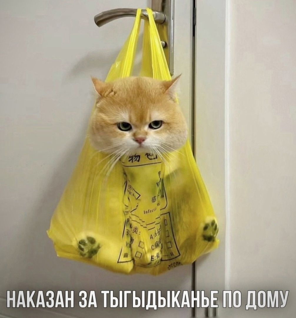 НАКАЗАН ЗА ТЫГЫДЫКАНЬЕ ПП ДОМУ