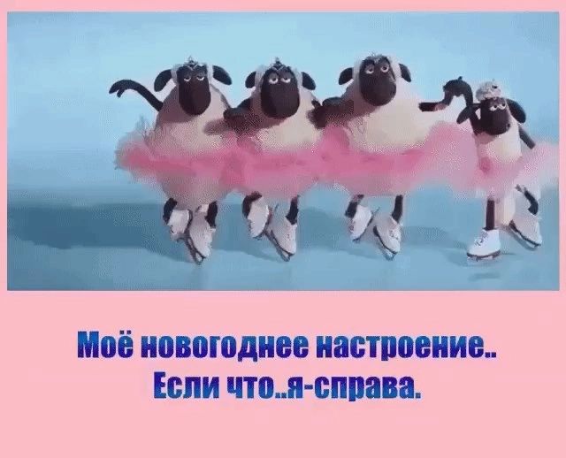 МОЁ новогоднее ЯБТПОЕПИВ БПИ ПШЩ ВШШВЕ