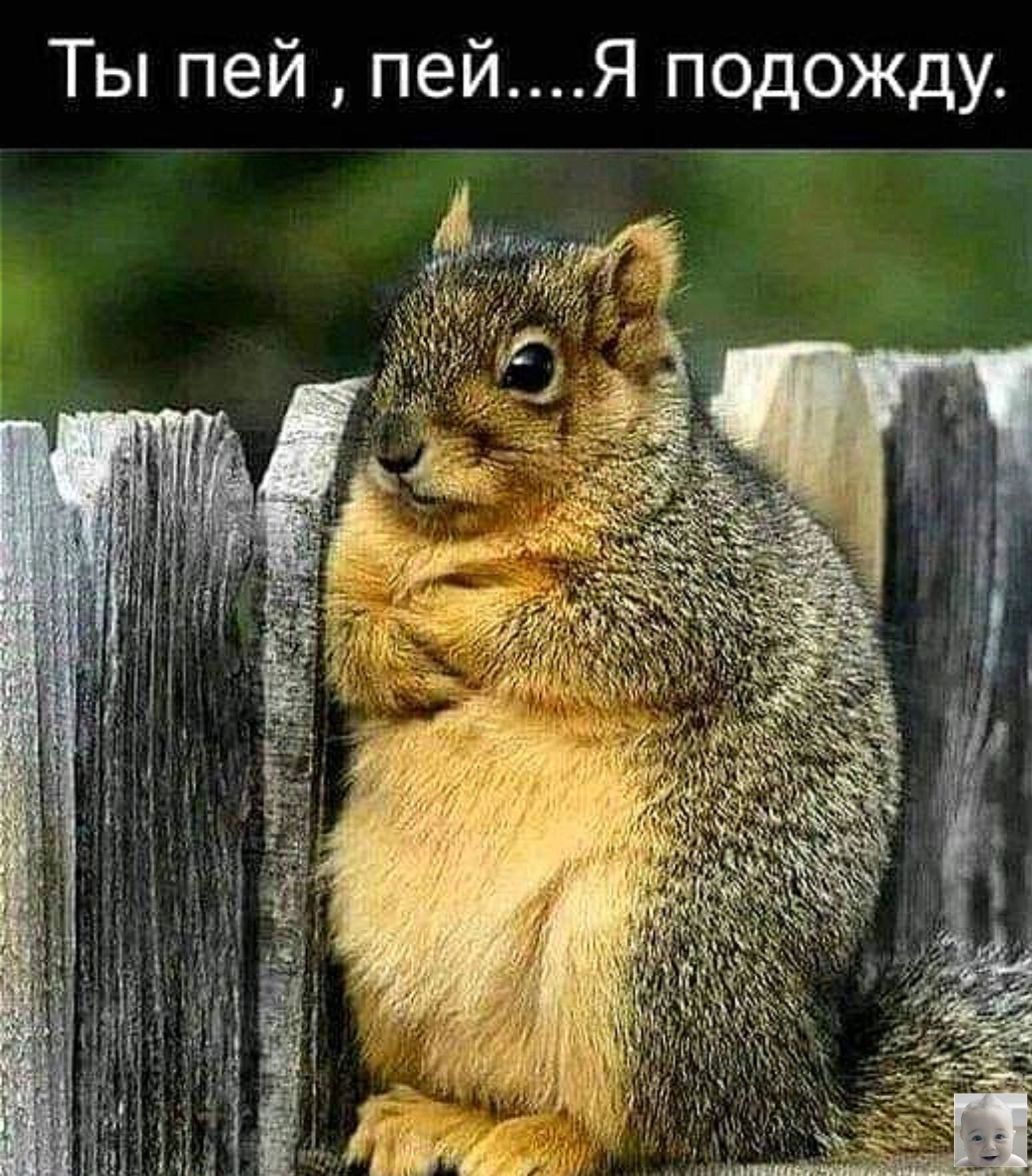 Ты пей пейЯ подожду