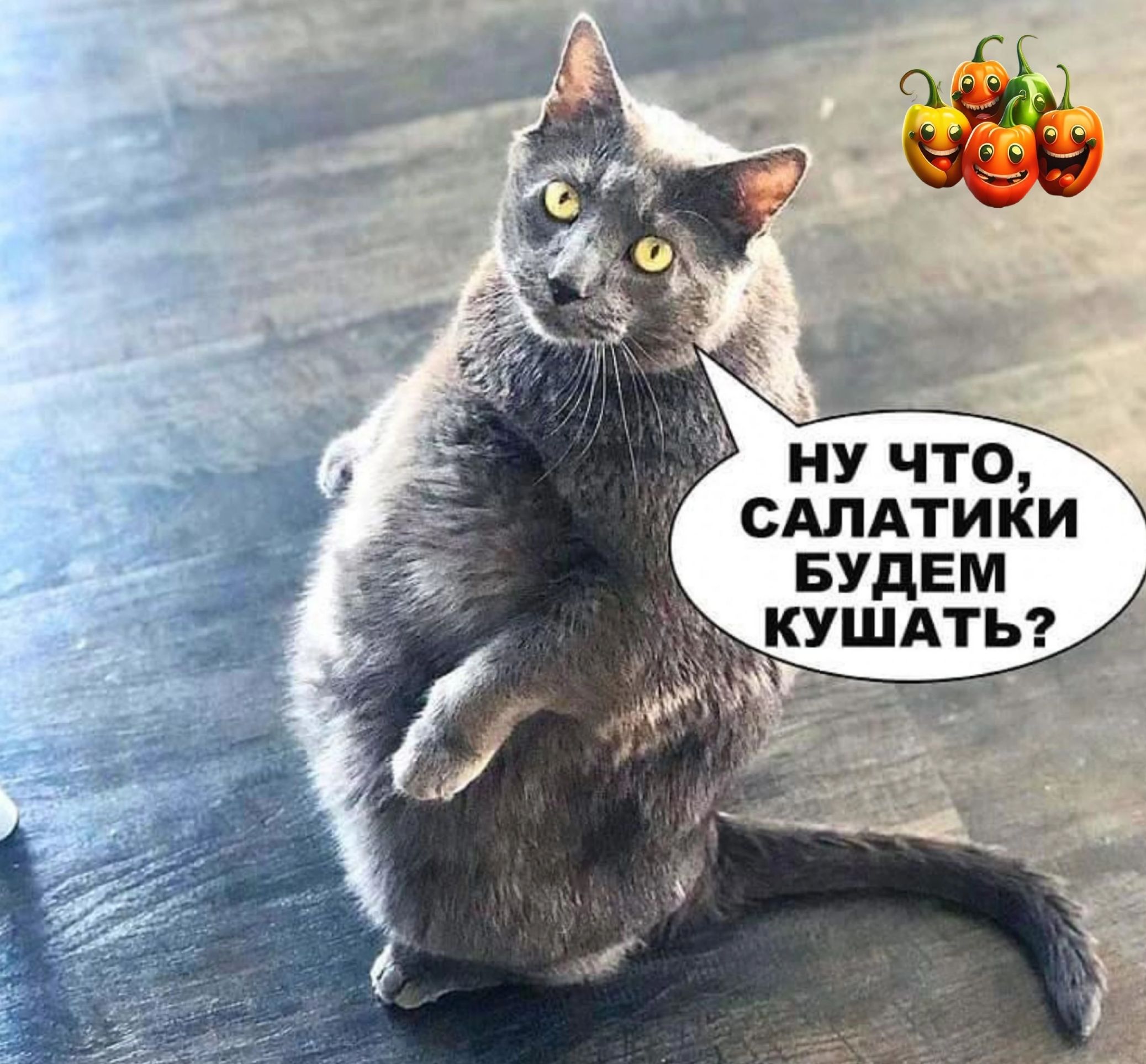 ну что сдлдтики