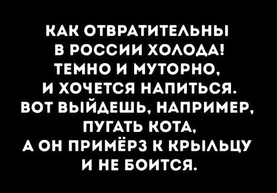 КАК ОТВРАТИТЕАЬНЫ В РОССИИ ХОАОАА ТЕННО И МУТОРНО И ХОЧЕТСЯ НАПИТЬСЯ ВОТ ВЫЙАЕШЬ НАПРИМЕР ПУГАТЬ КОТА А ОН ПРИМЁРЗ К КРЫАЬЦУ И НЕ БОИТСЯ