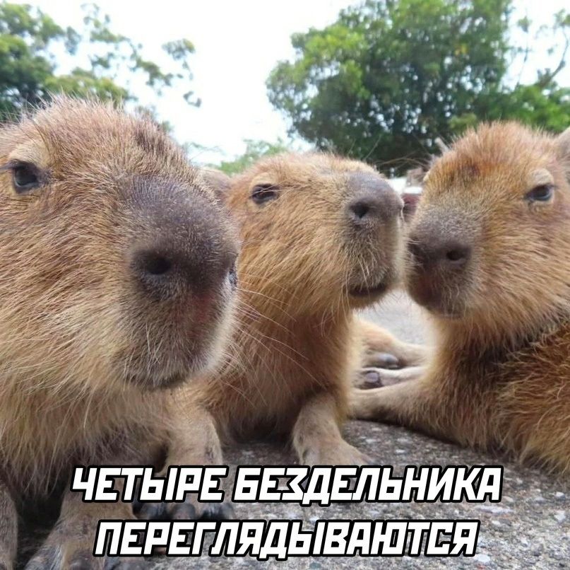 а ЧЕТЫРЕ БЕЗДЕЛЬНИКП