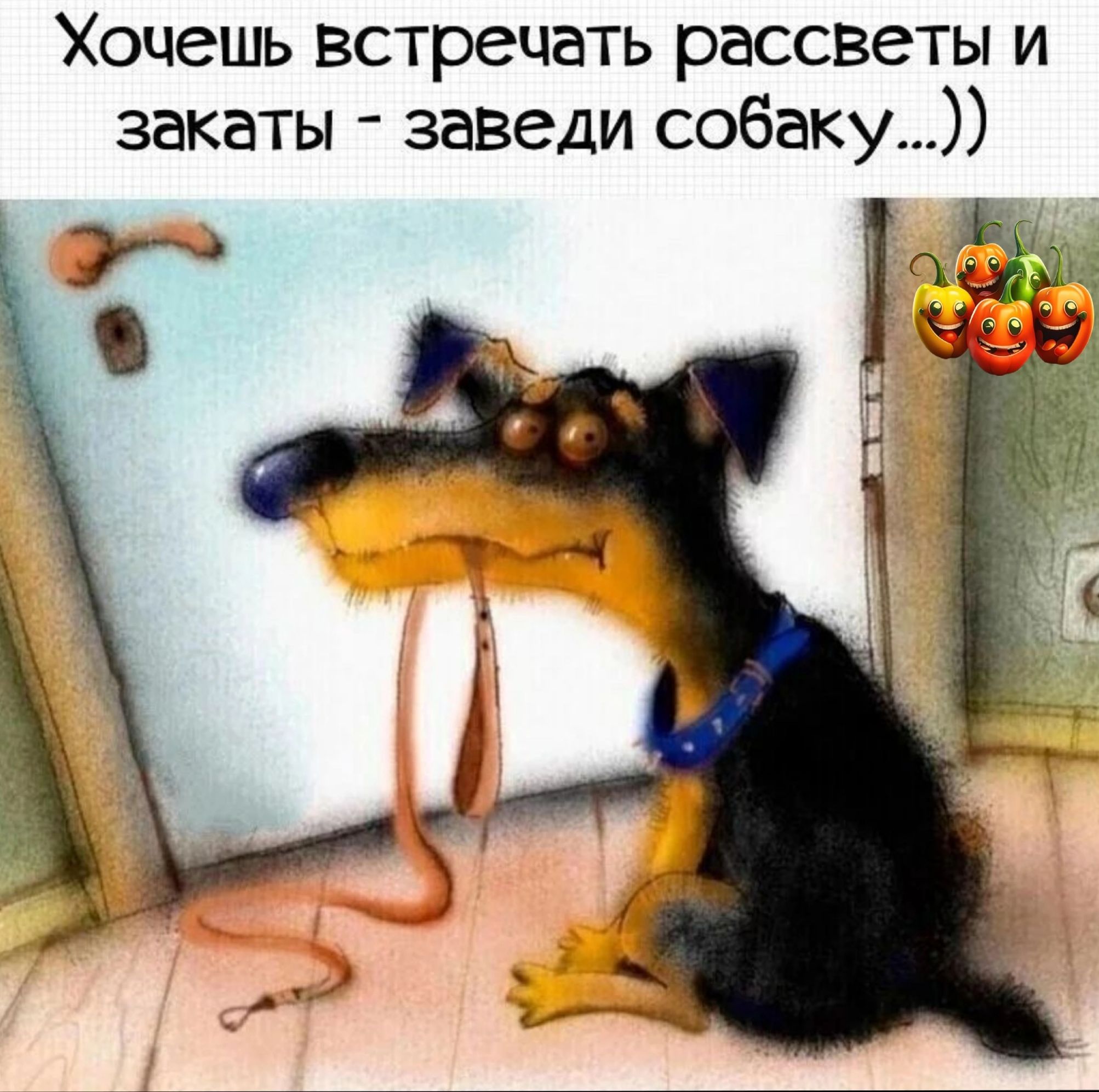 Хочешь встречать рассветы и закаты заведи собаку