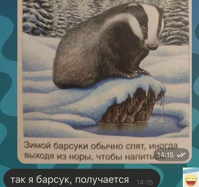 Зимой барсуки обычно спят и ВЫКЧДЯ ИЗ норы ЧТОБЫ напи так я барсук получается