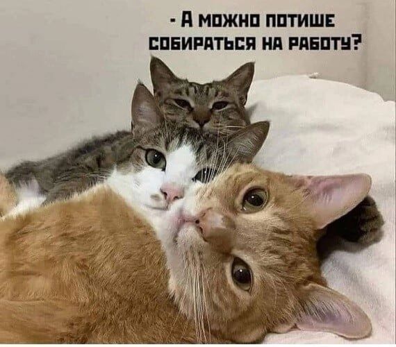 и мпжип пптиш пниитьпя ип винт