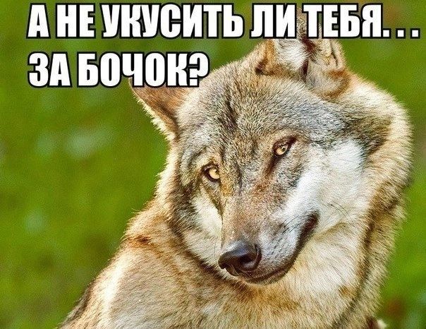 А НЕ инисить пигтнзн зд впчонэ